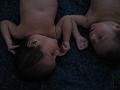 IMG_0977