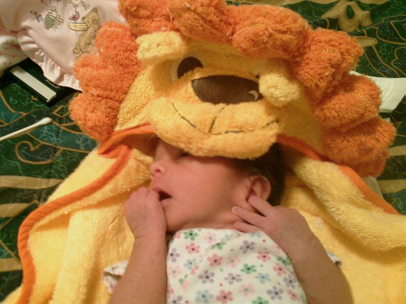 IMAG0053.jpg